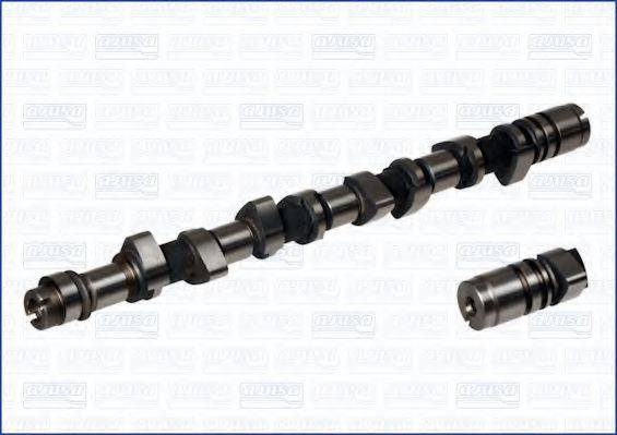 BTS TURBO CP15009 Розподільний вал