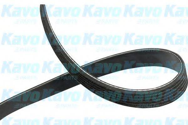 KAVO PARTS DMV-1524