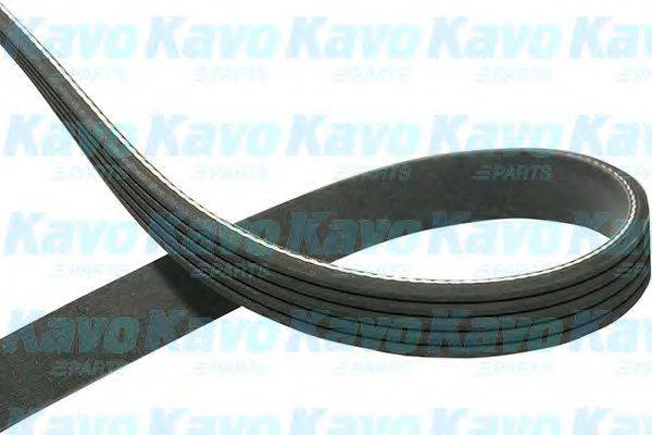KAVO PARTS DMV-9023
