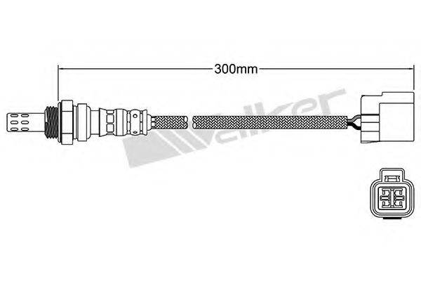 WALKER PRODUCTS 250-24020