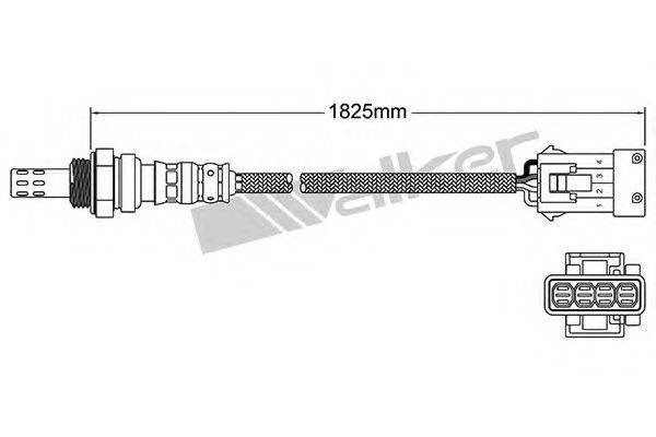 WALKER PRODUCTS 250-24921