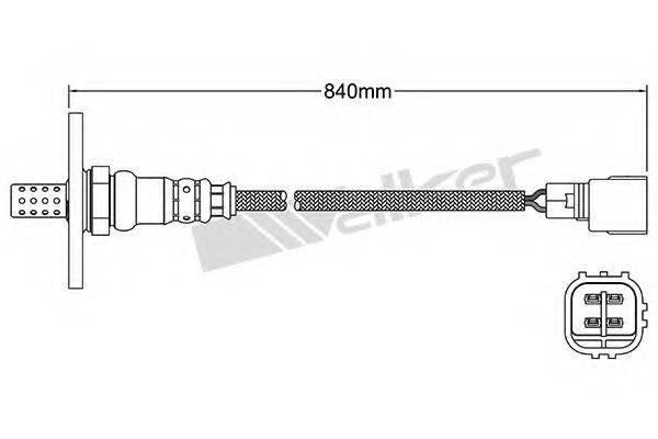 WALKER PRODUCTS 250-24288