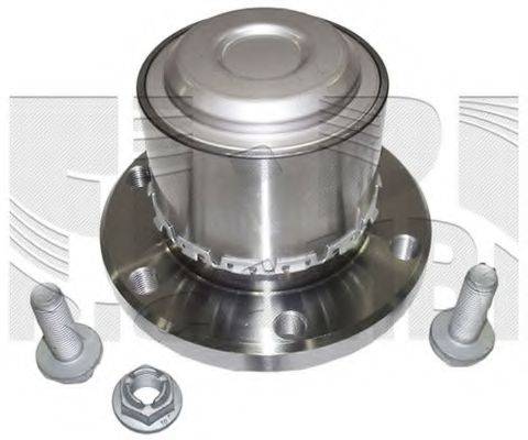 INA 713668010 Комплект підшипника маточини колеса