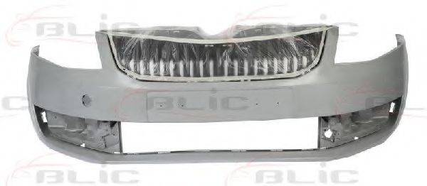 BLIC 5510-00-7522900P