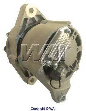 WAIGLOBAL 12029N