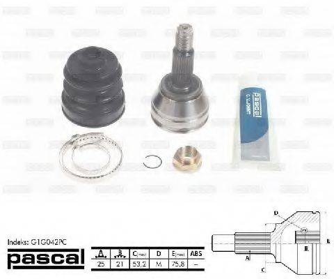 PASCAL G1G042PC