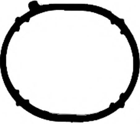GLASER X89885-01